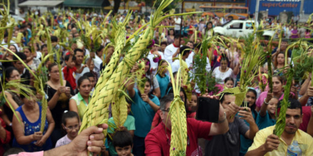 Meditación Domingo de Ramos