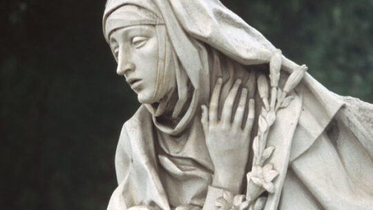 Santa Catalina de Siena,  solo por su amor profundo a la Iglesia