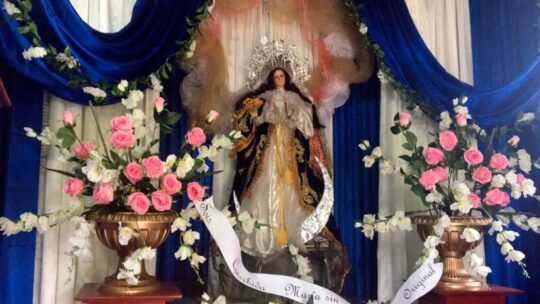 La Inmaculada Concepción confinada…