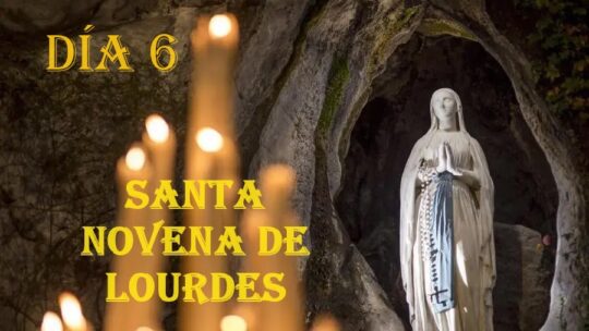Catequesis del Papa