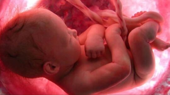 El mal francés «Aborto». Hablamos de la Blasfemia contra el Espíritu Santo
