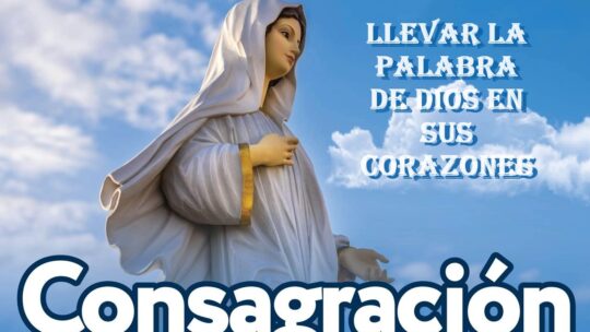 Beata Teresa de Calcuta, Reportaje