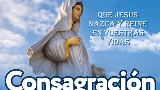 Escuelas católicas acordes con enseñanza católica