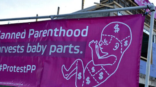 Planned Parenthood y su candidatura